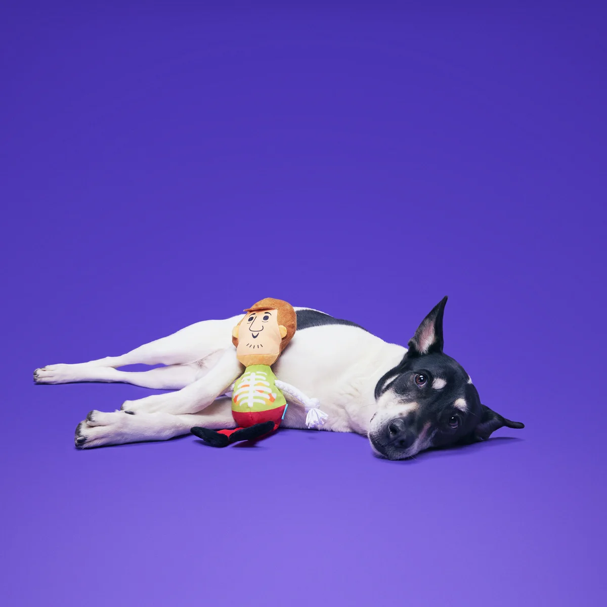 Shaggy™ Skelly - Image 3