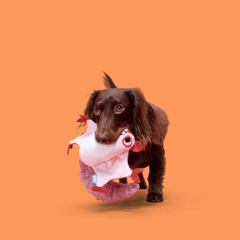 Sheila Sugar Glidah Plush Tug Dog Toy - Image 3