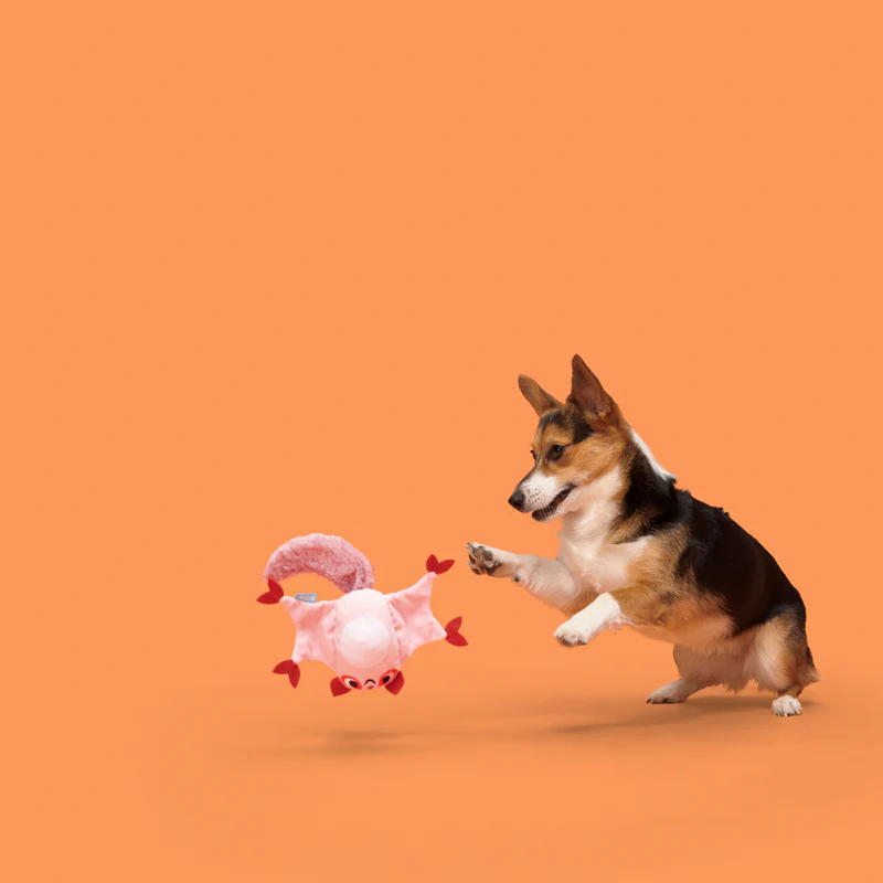 Sheila Sugar Glidah Plush Tug Dog Toy - Image 5