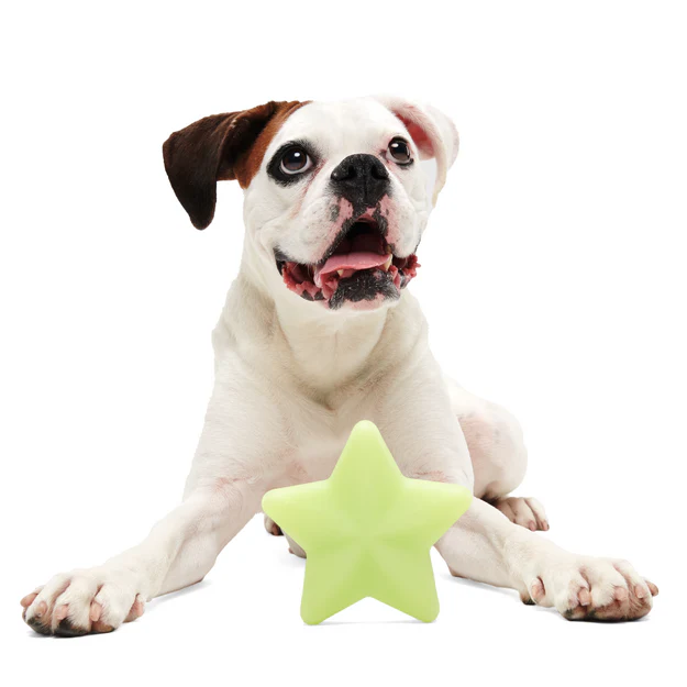 Shooting Starf Gnaw Dog Toy - Image 4