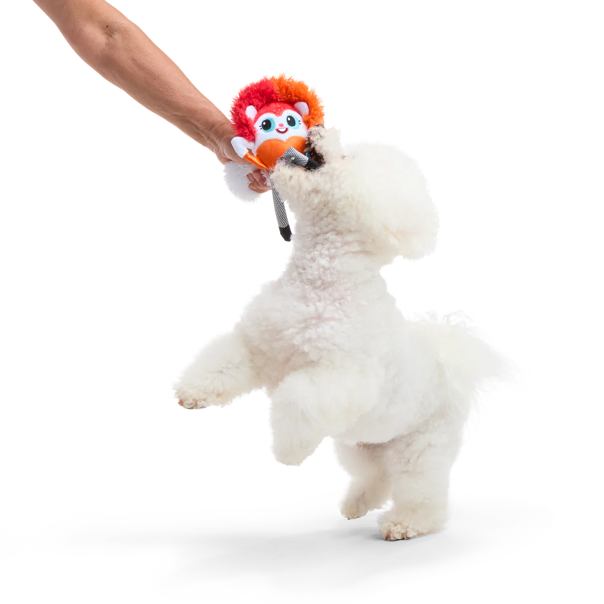 Showsquirrel Plush Tug Dog Toy - Image 4