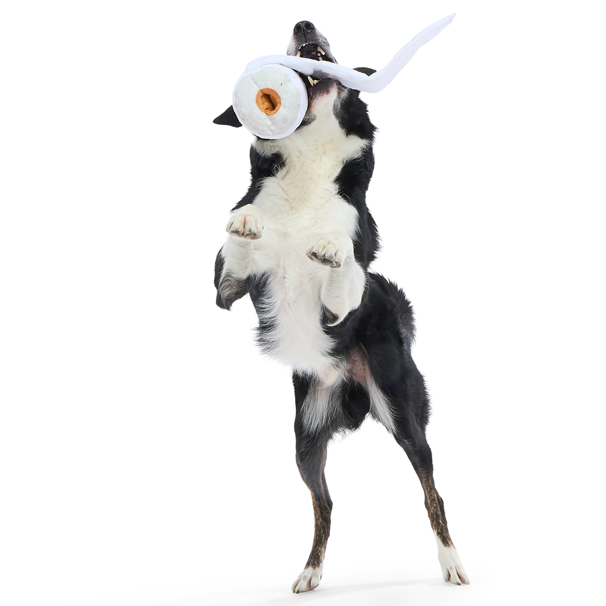 Shred Head Fred Plush Enrichment + Tug Dog Toy - Image 3
