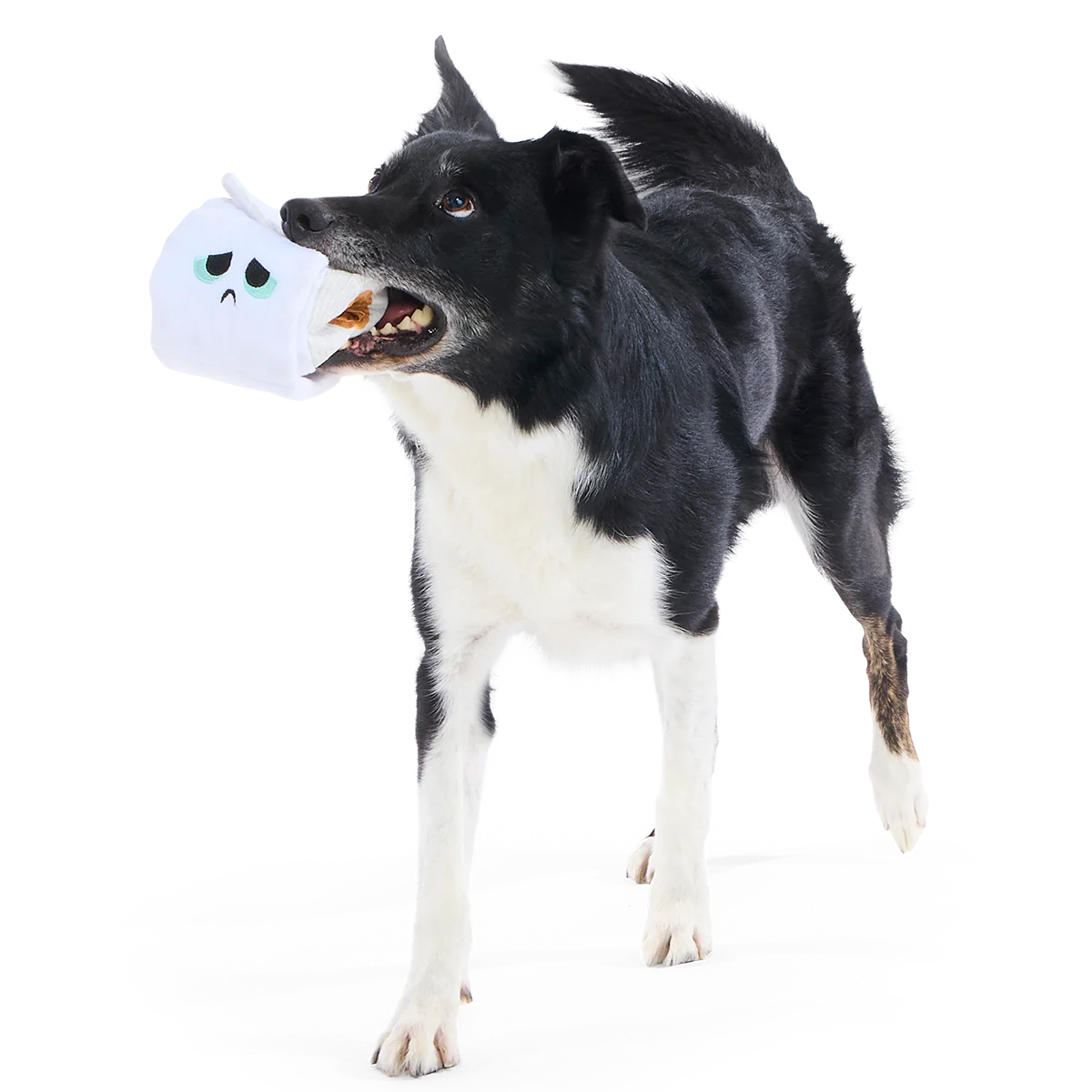 Shred Head Fred Plush Enrichment + Tug Dog Toy - Image 4
