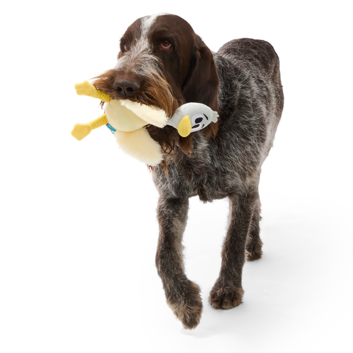 Lucy Goosey Plush Tug Dog Toy - Image 2