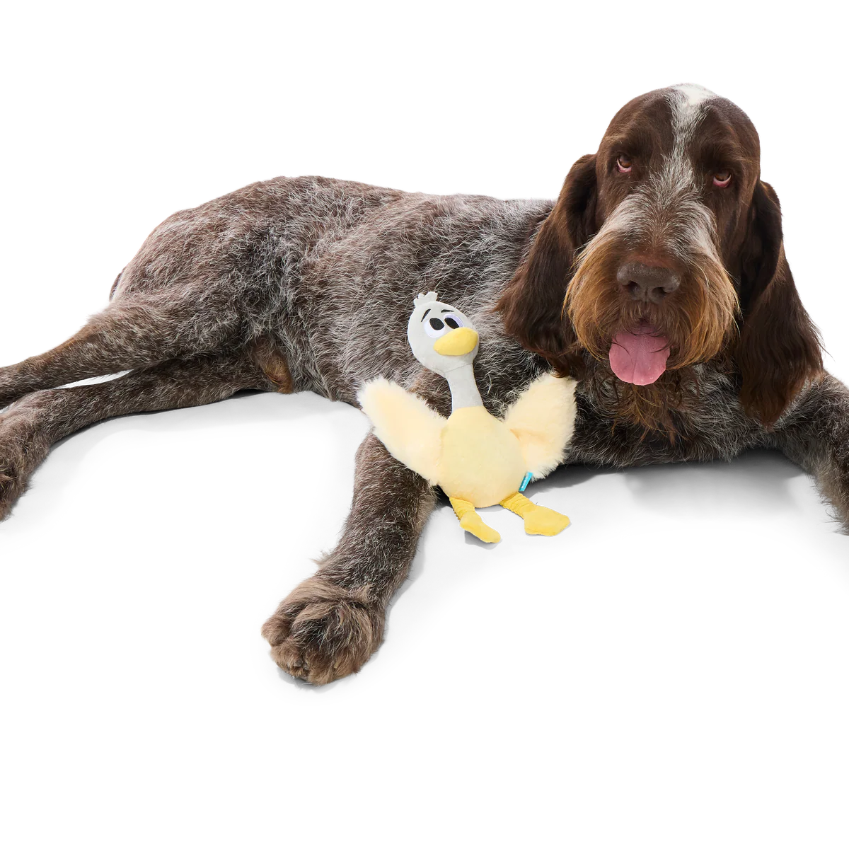 Lucy Goosey Plush Tug Dog Toy - Image 3