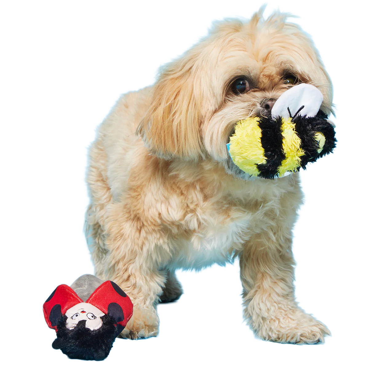 Simone & Jean-Paul The Love Bugs Plush Multi-Part + Fetch Dog Toy - Image 2