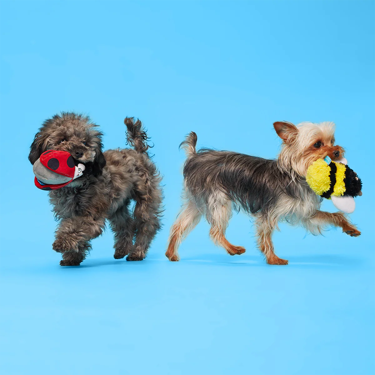 Simone & Jean-Paul The Love Bugs Plush Multi-Part + Fetch Dog Toy - Image 3