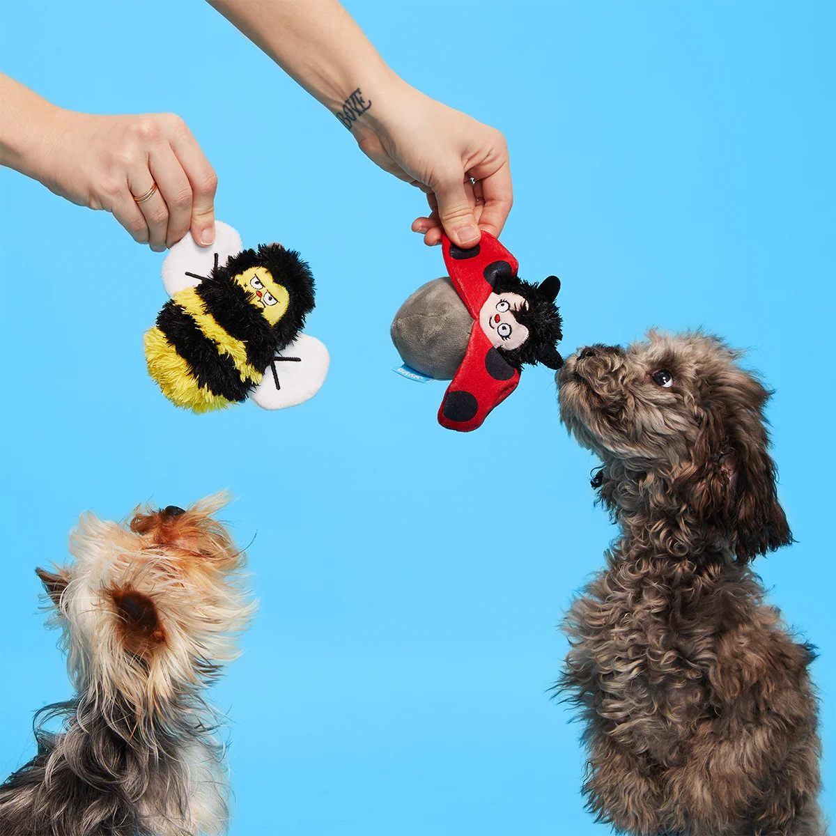 Simone & Jean-Paul The Love Bugs Plush Multi-Part + Fetch Dog Toy - Image 4