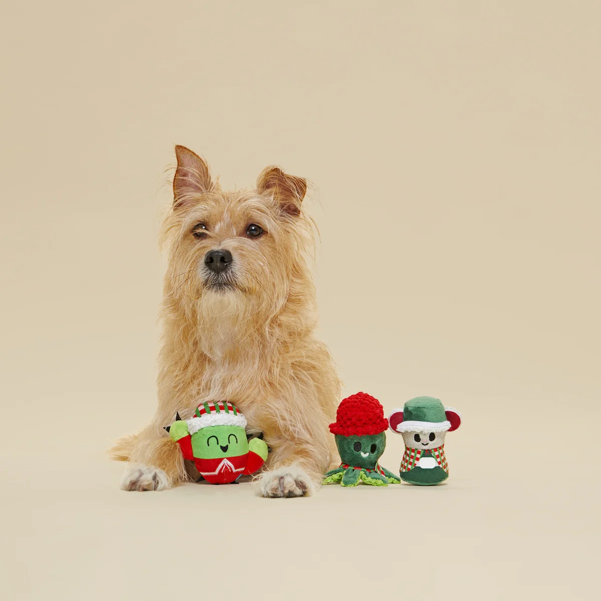 Sing Song Ding Dongs Multipart Plush Multi-Part Dog Toy - Image 4
