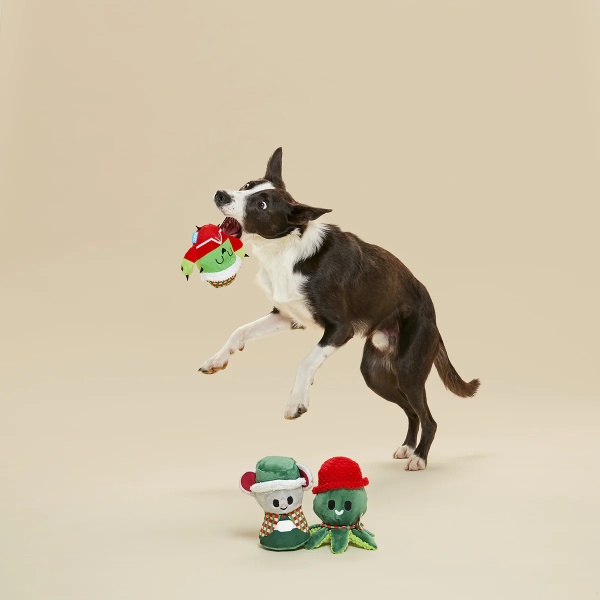 Sing Song Ding Dongs Multipart Plush Multi-Part Dog Toy - Image 5
