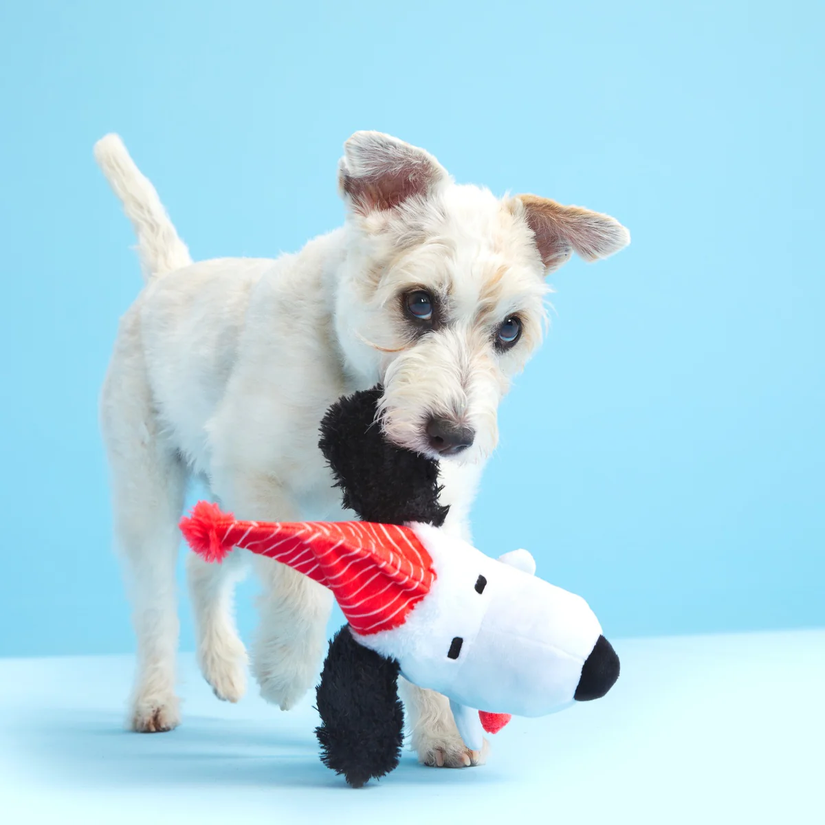 Skating Snoopy Tug Dog Toy - Image 2