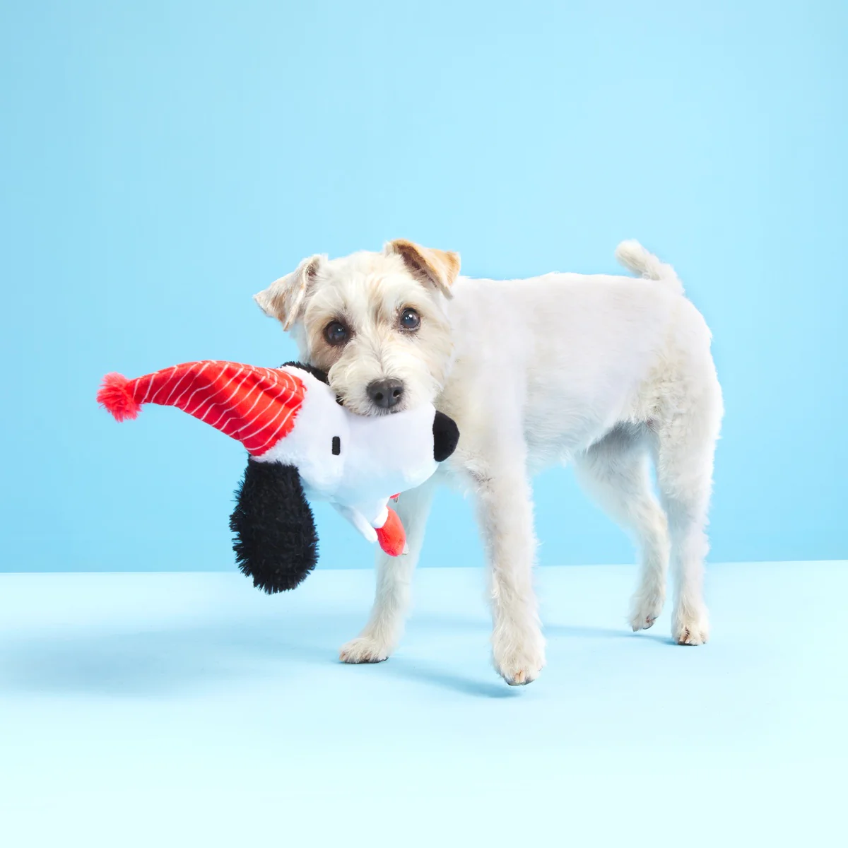 Skating Snoopy Tug Dog Toy - Image 4