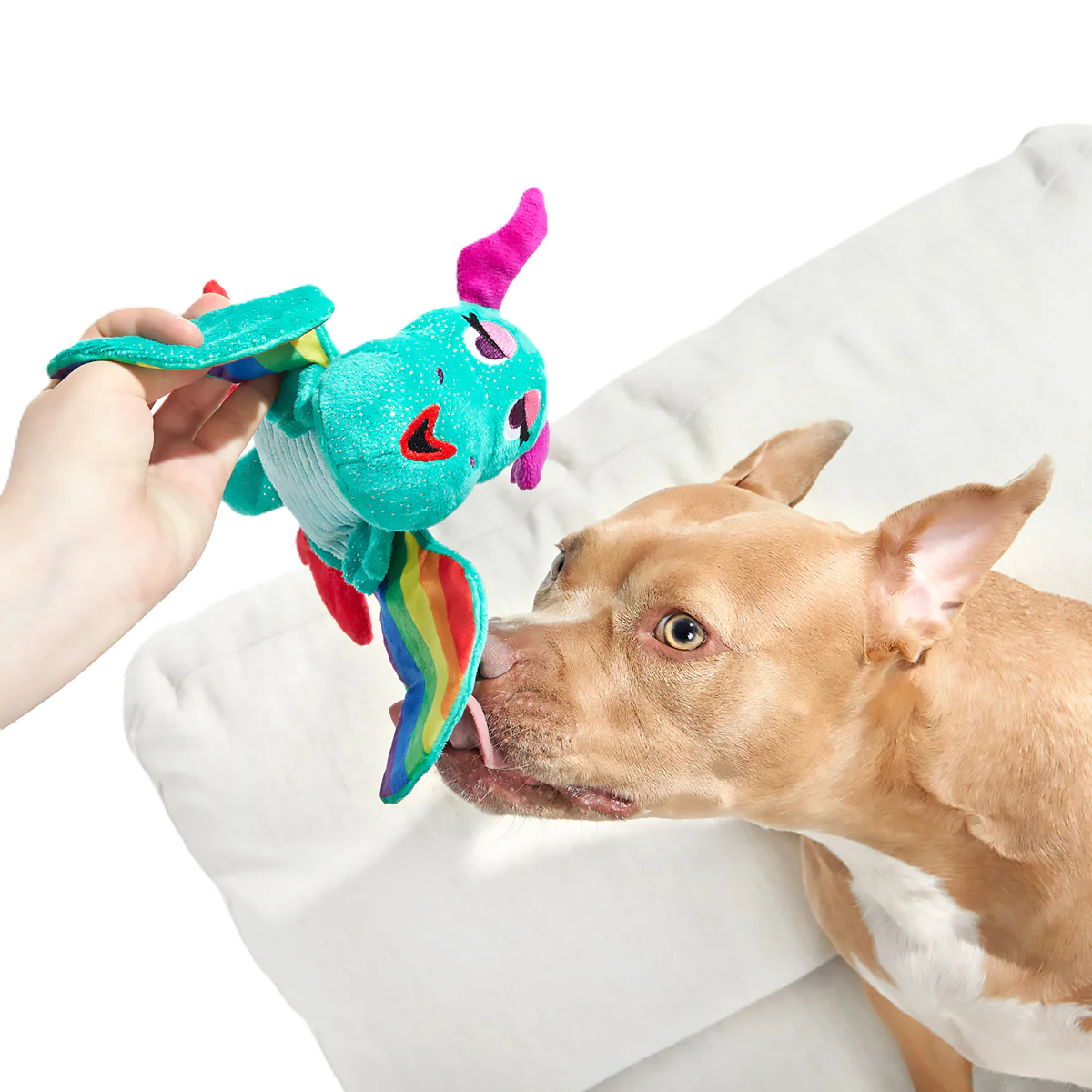 Slay The Dragon Queen Plush Tug Dog Toy - Image 2