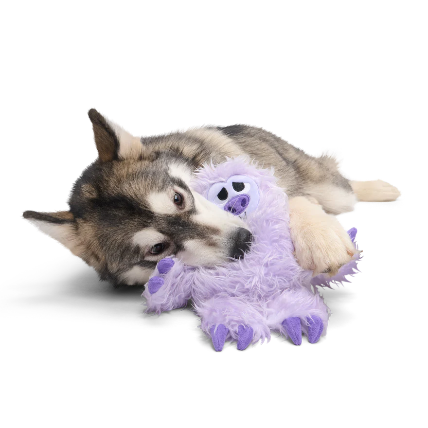 Slennifer Sloth Plush Dog Toy - Image 2