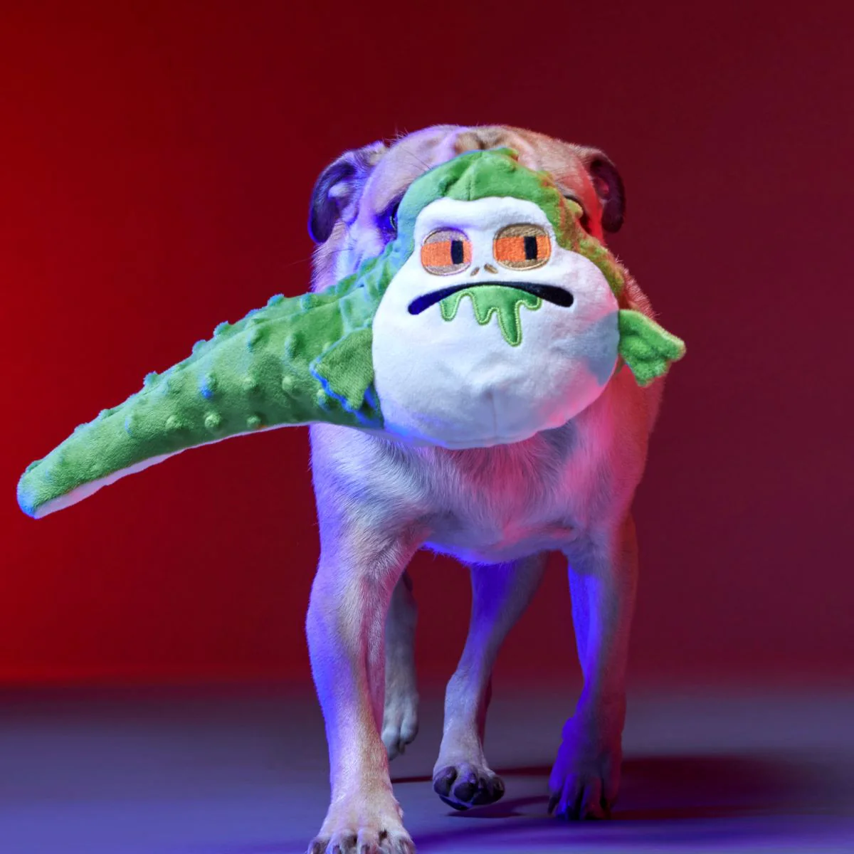 No Barkin', Young Jedi™ Plush Tug Dog Toy - Image 3