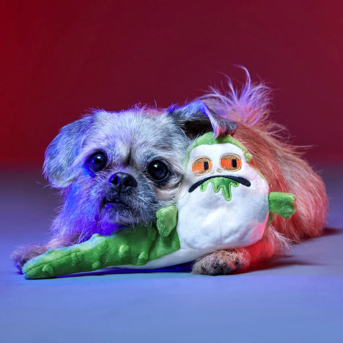 No Barkin', Young Jedi™ Plush Tug Dog Toy - Image 4