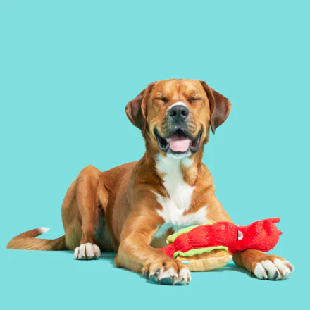 Slobster Roll - Image 4