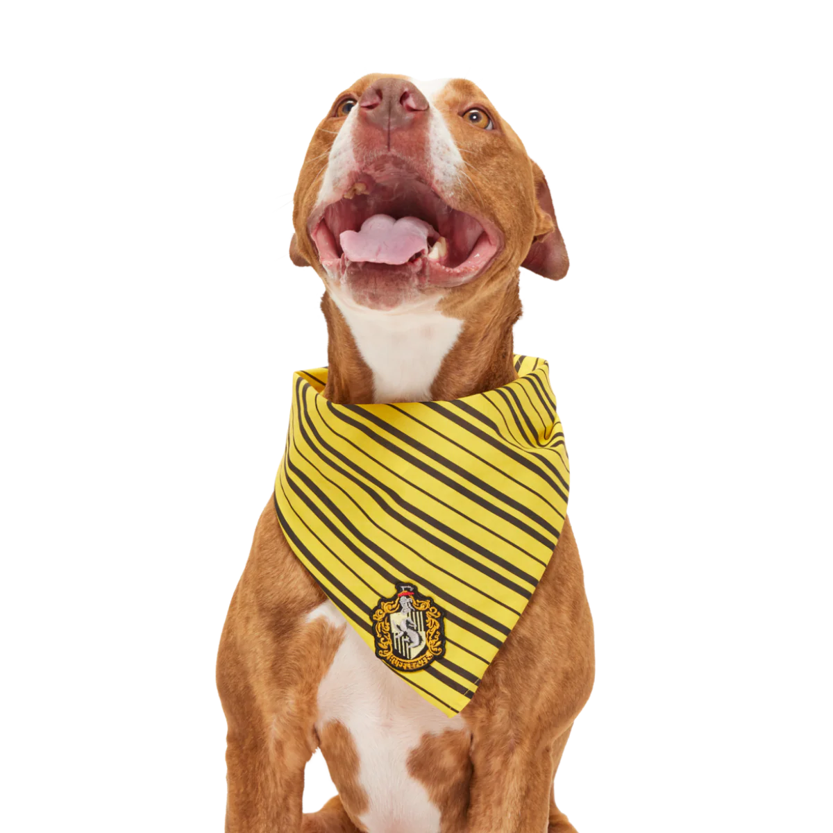 HARRY POTTER™ House Dog Bandana - Image 10