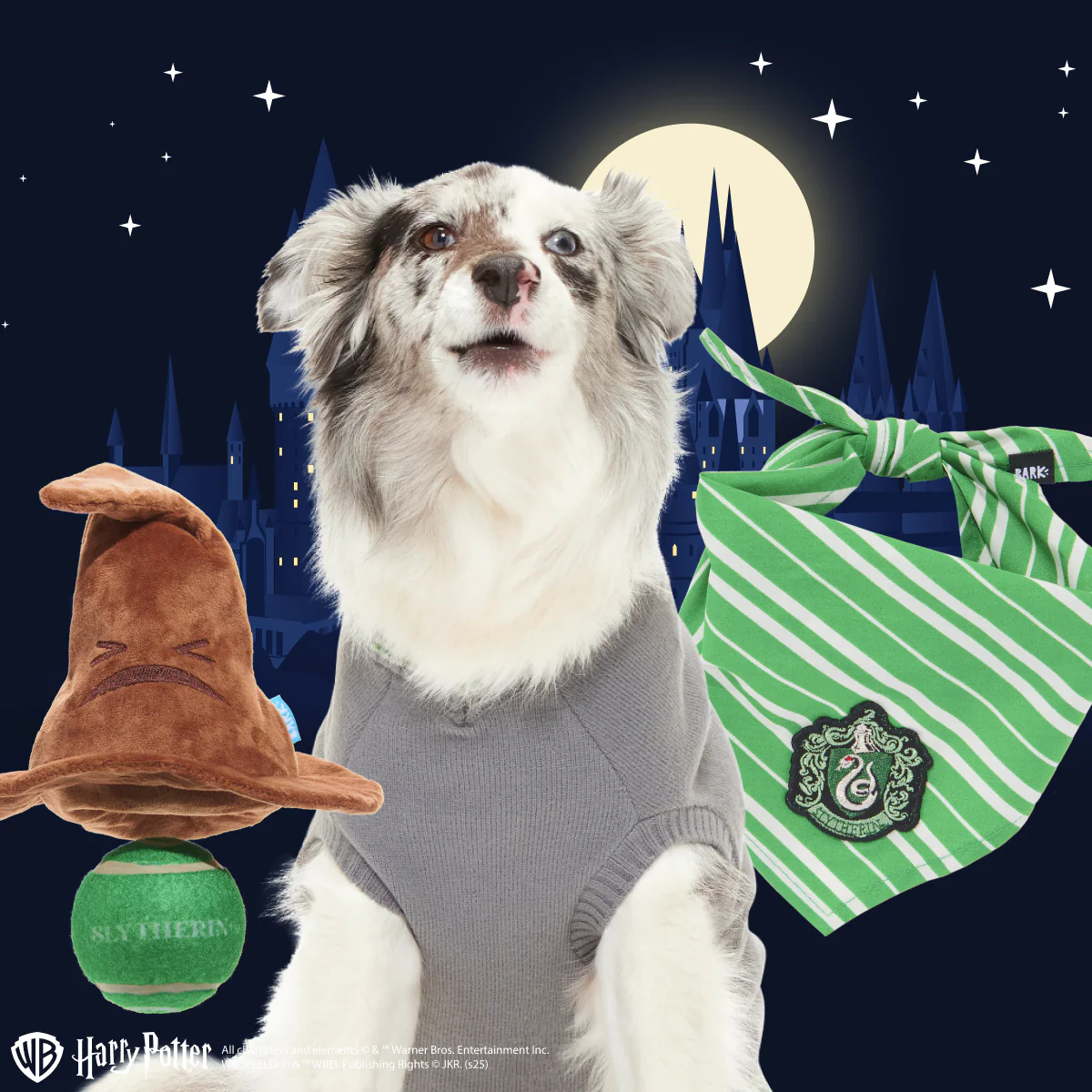 Slytherin™ Bundle - Image 3