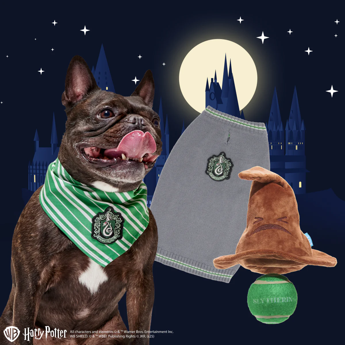 Slytherin™ Bundle - Image 4