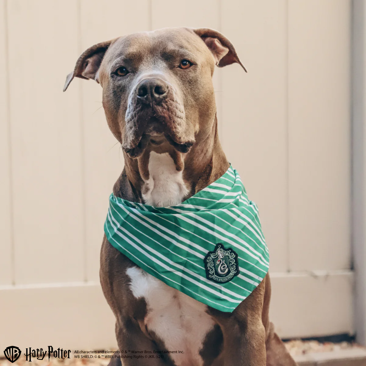 Slytherin™ Bundle - Image 8
