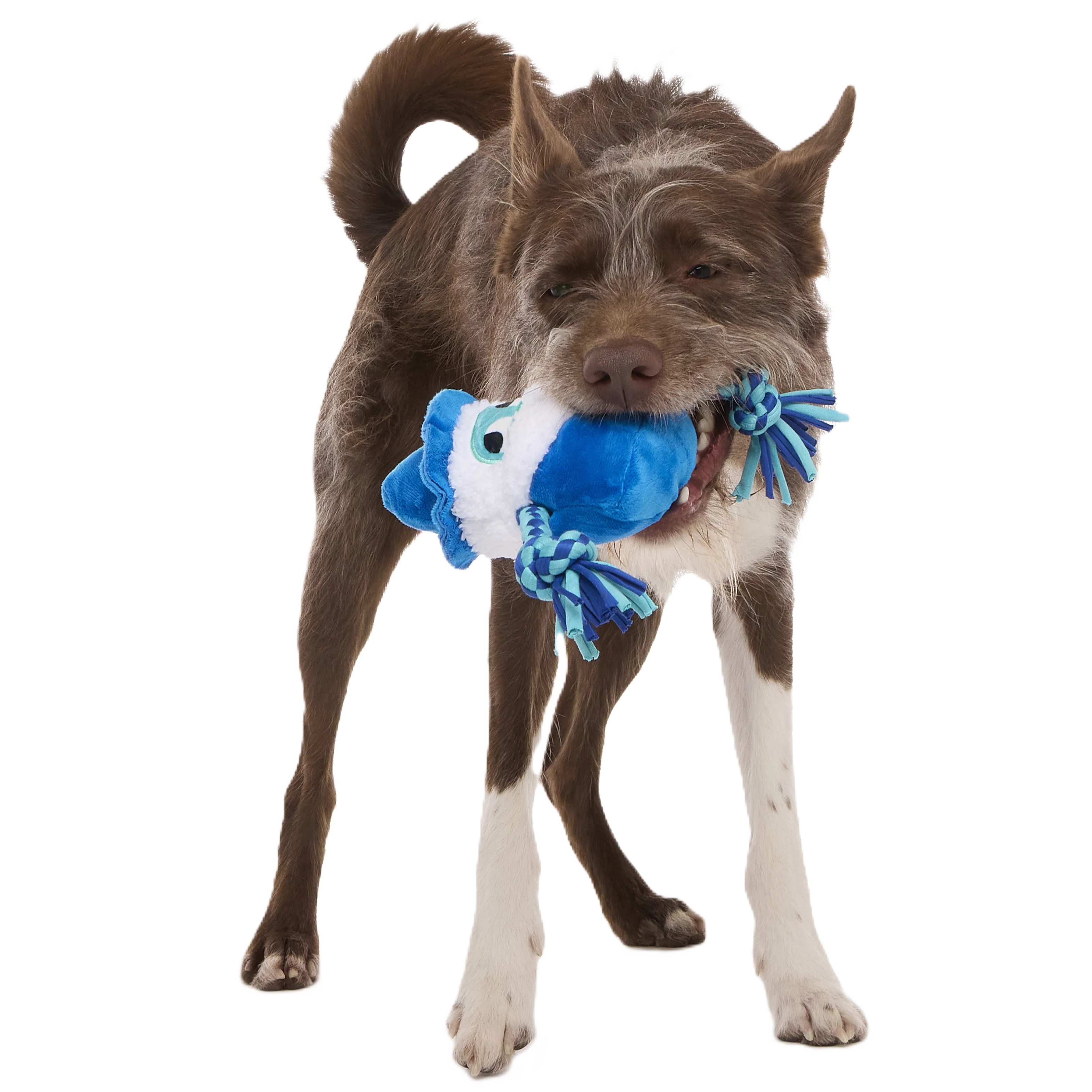 Smellcaster Merlin Plush Tug Dog Toy - Image 2