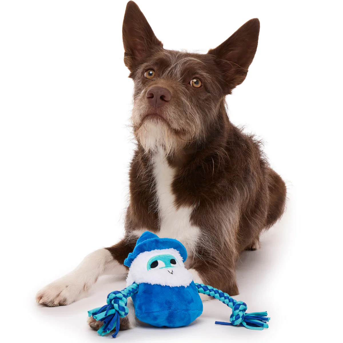 Smellcaster Merlin Plush Tug Dog Toy - Image 3