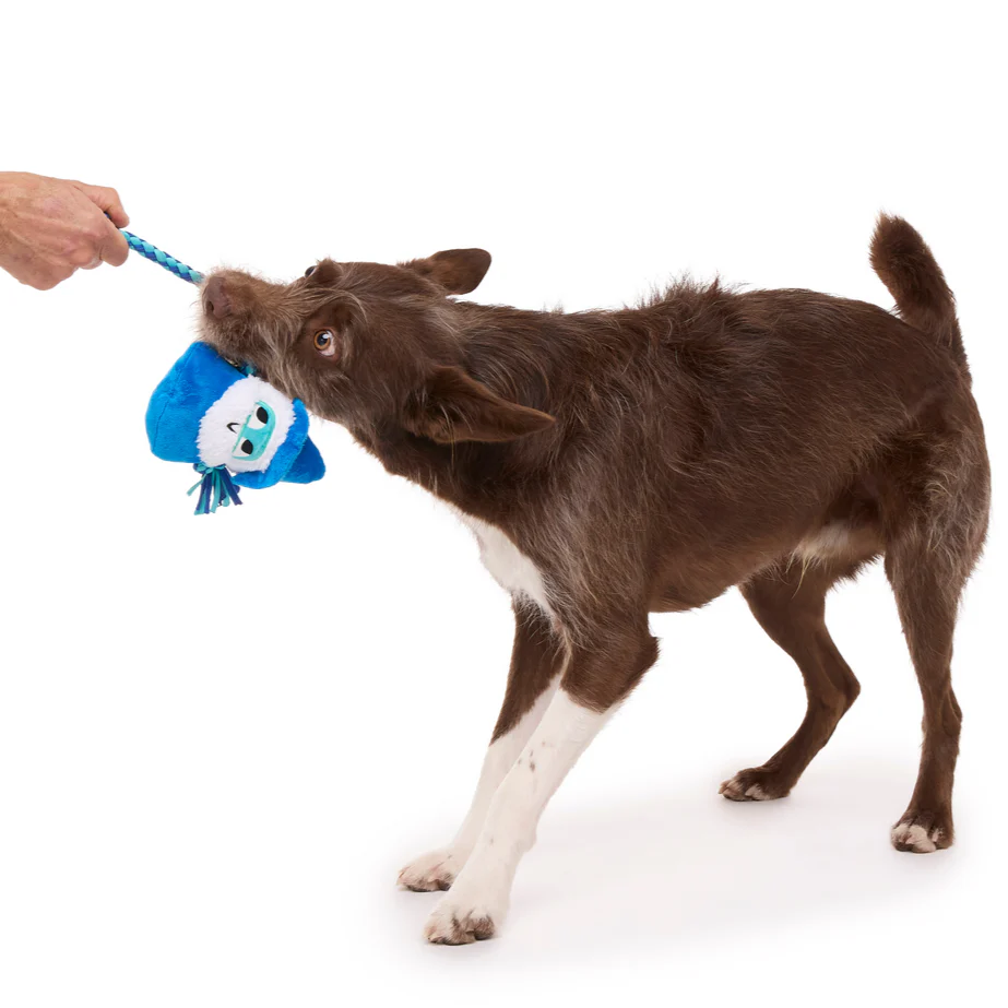 Smellcaster Merlin Plush Tug Dog Toy - Image 4