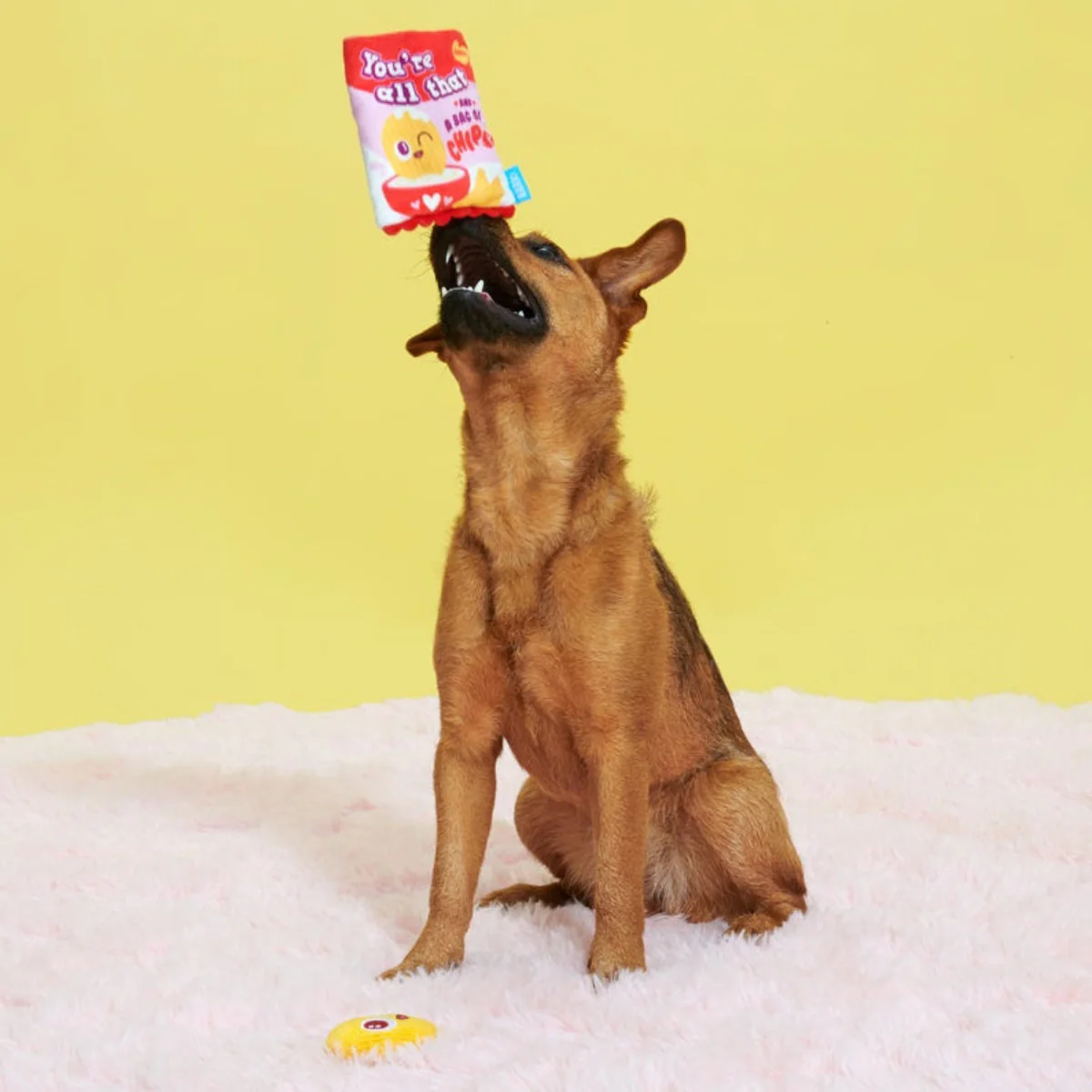 Smitten Chips Plush Enrichment + Multi-Part Dog Toy - Image 2