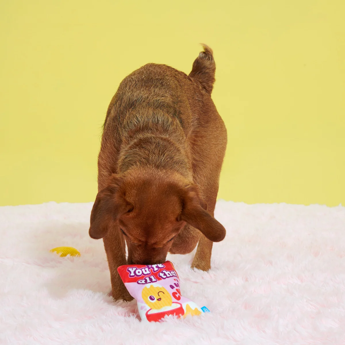 Smitten Chips Plush Enrichment + Multi-Part Dog Toy - Image 3