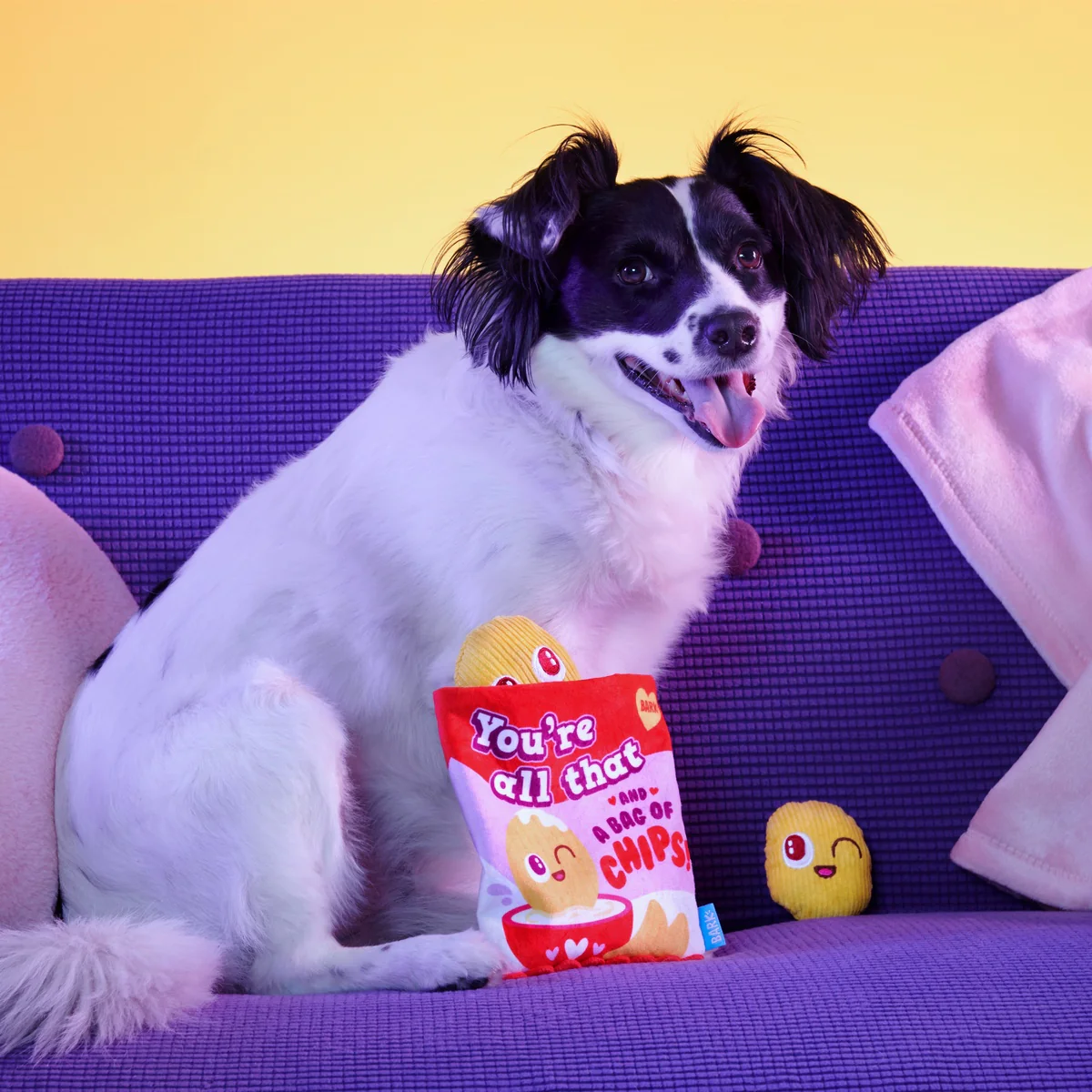Smitten Chips Plush Enrichment + Multi-Part Dog Toy - Image 4