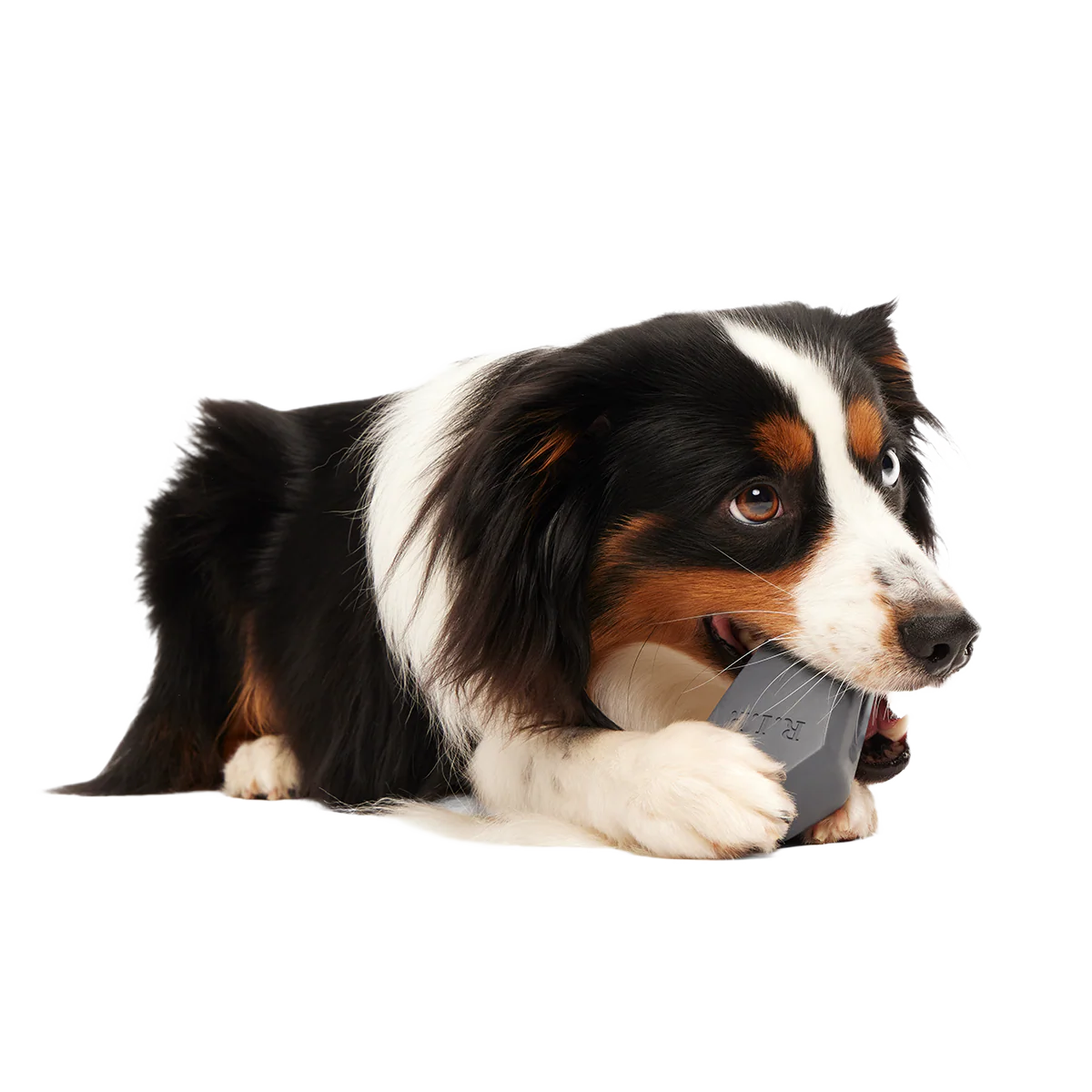 Snack Casket Super Chewer Durable Enrichment Dog Toy - Image 3