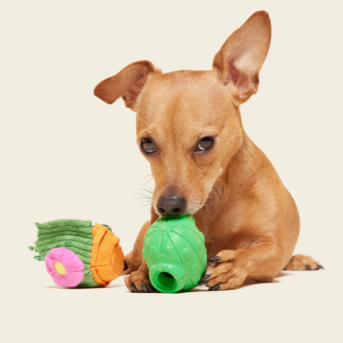 Snactus Super Chewer Durable 2-in-1 + Enrichment Dog Toy - Image 2