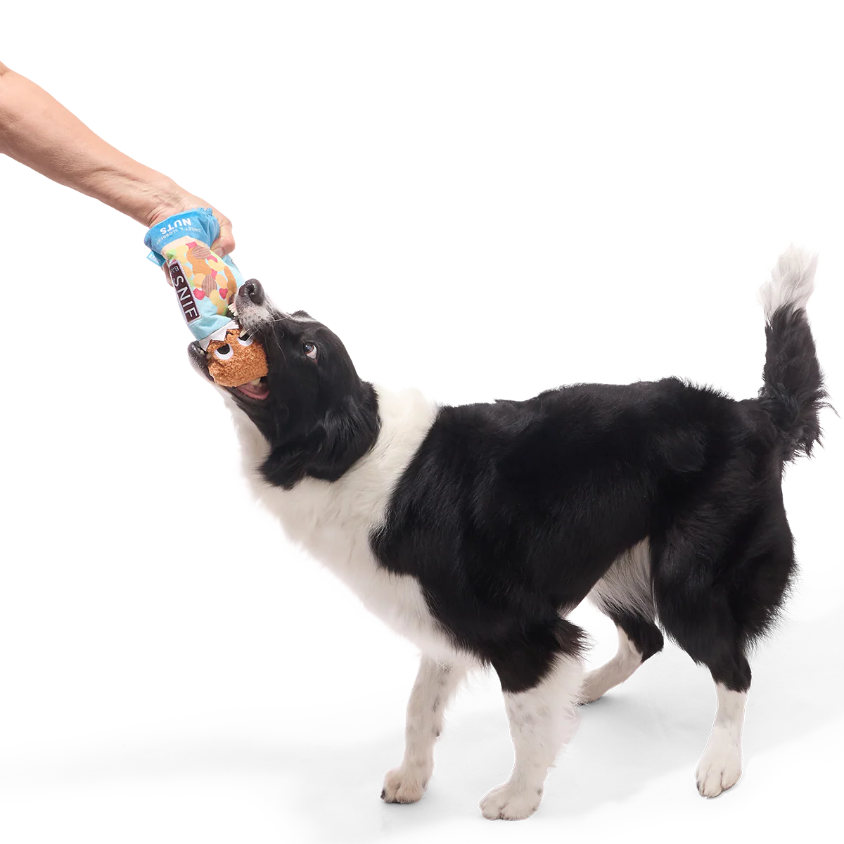 Sniff Bar Plush Tug Dog Toy - Image 2