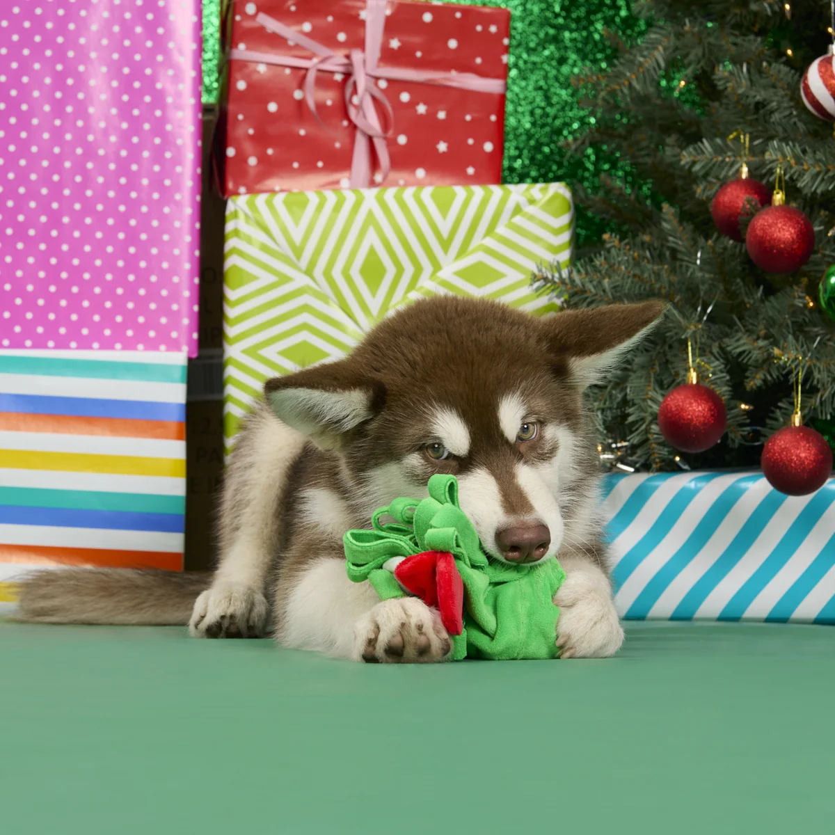 Sniffletoe Tug and Rope Plush Enrichment Dog Toy - Image 5