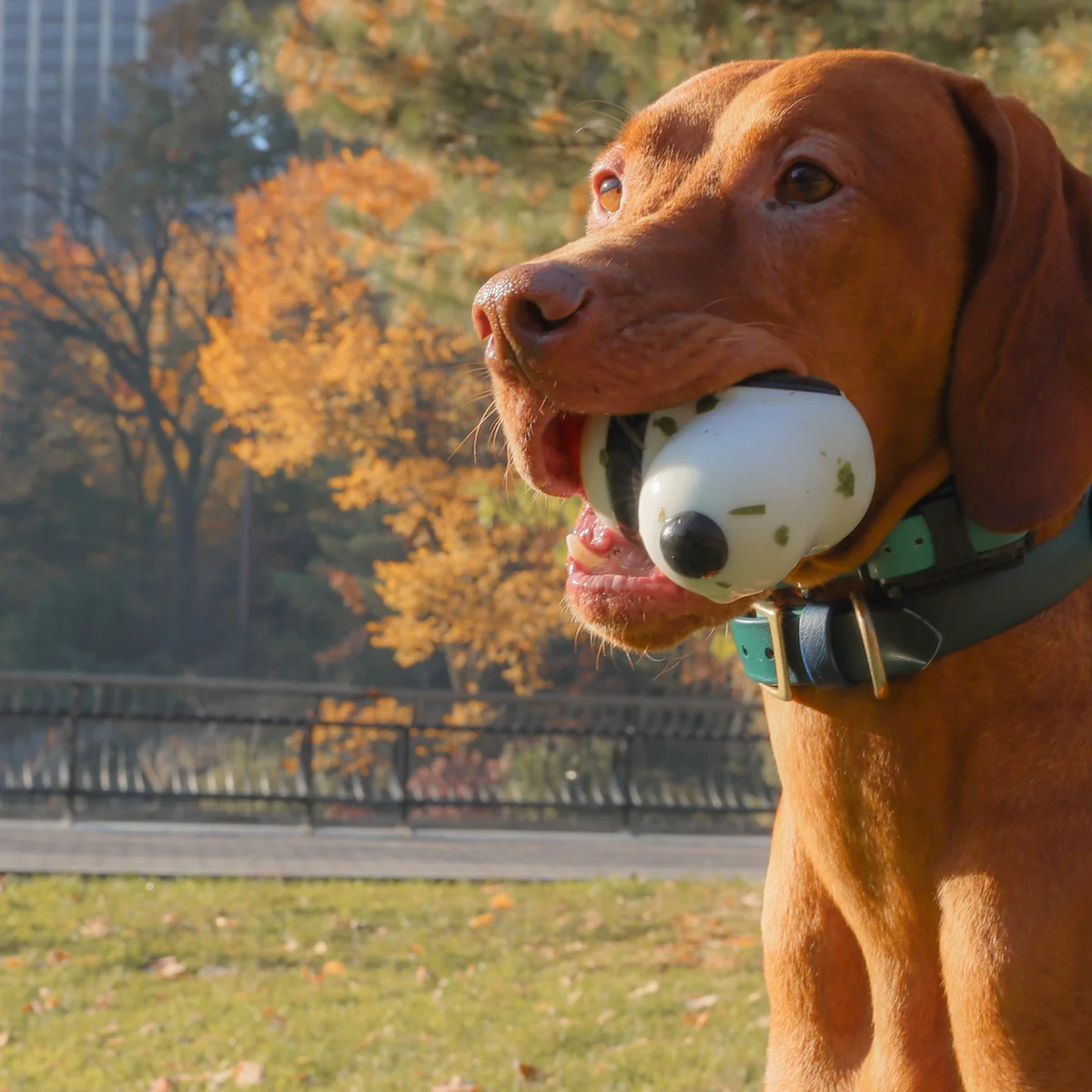 Snoopy Durable Super Chewer Dog Toy - Image 2