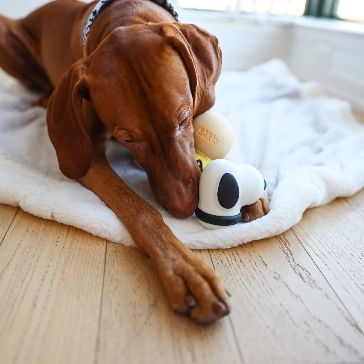 Snoopy Durable Super Chewer Dog Toy - Image 3