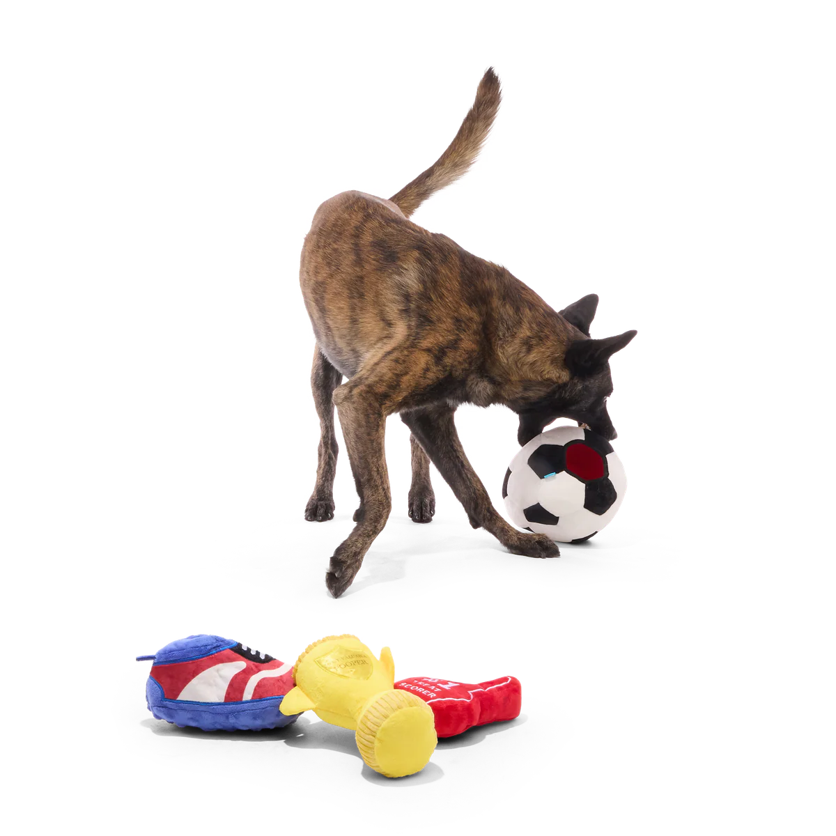 Snootbol Haul Plush Multi-Part + Enrichment Dog Toy - Image 3