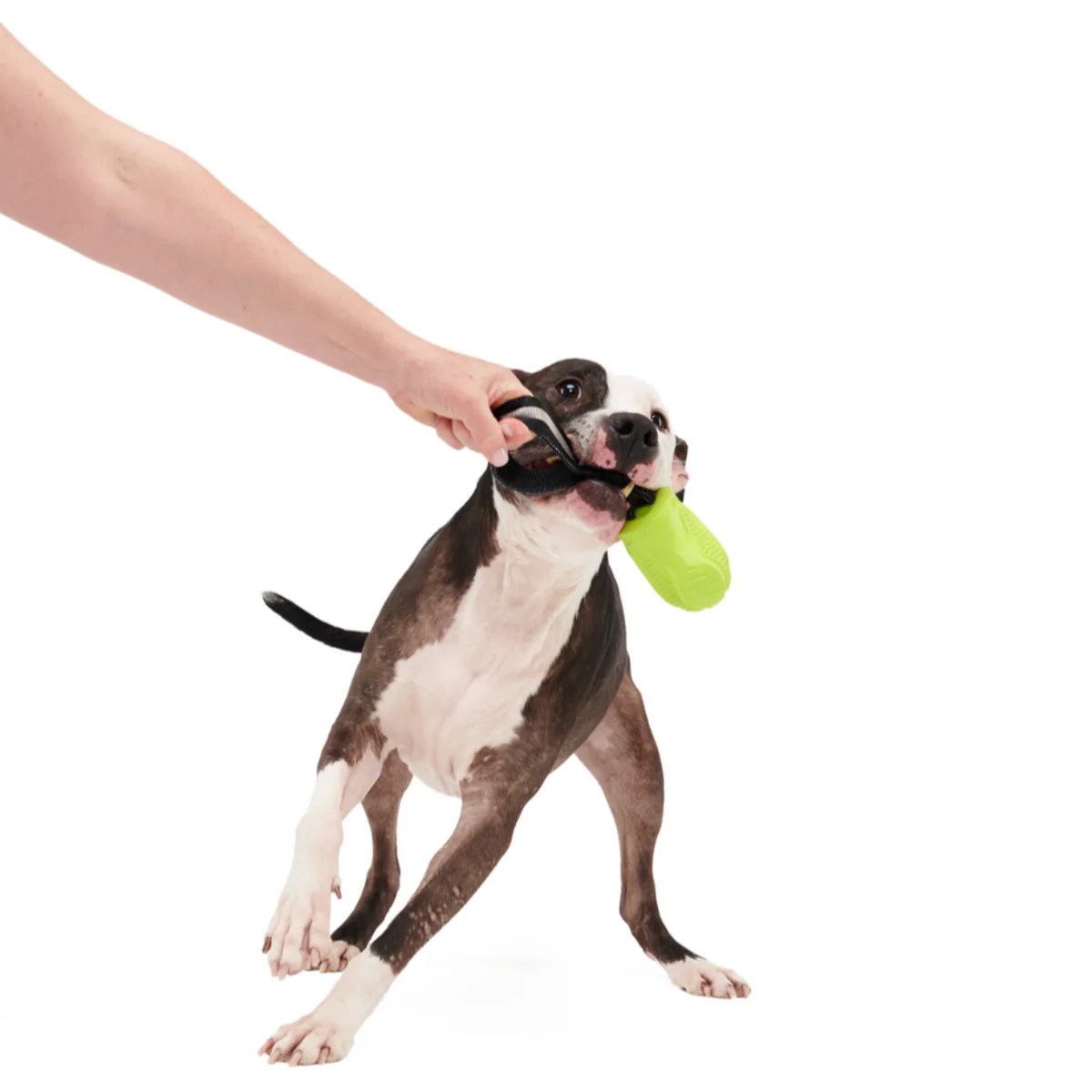Snout Guard Durable Super Chewer Tug Dog Toy - Image 3