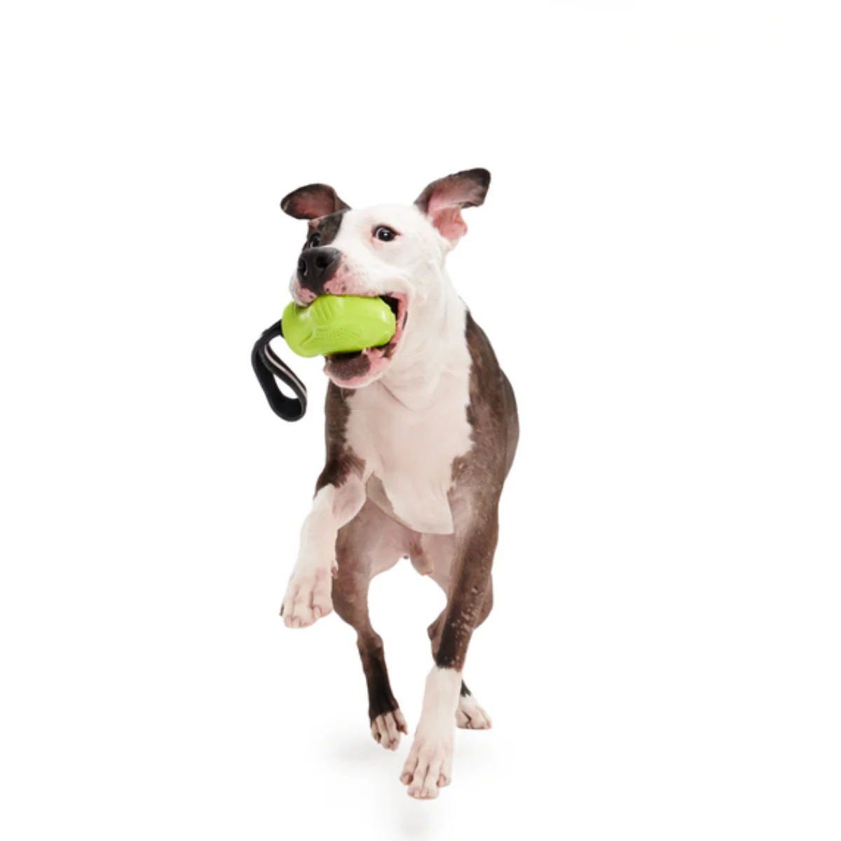 Snout Guard Durable Super Chewer Tug Dog Toy - Image 4