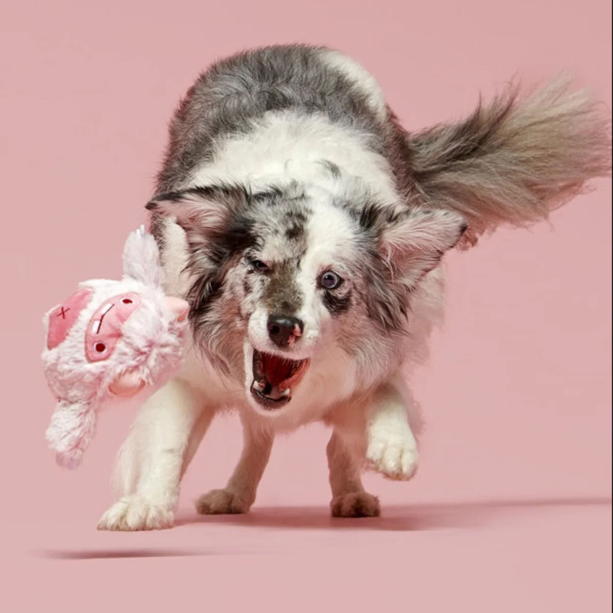 Snuglor Durable Super Chewer 2-in-1 Rip and Reveal + Enrichment Dog Toy - Image 4