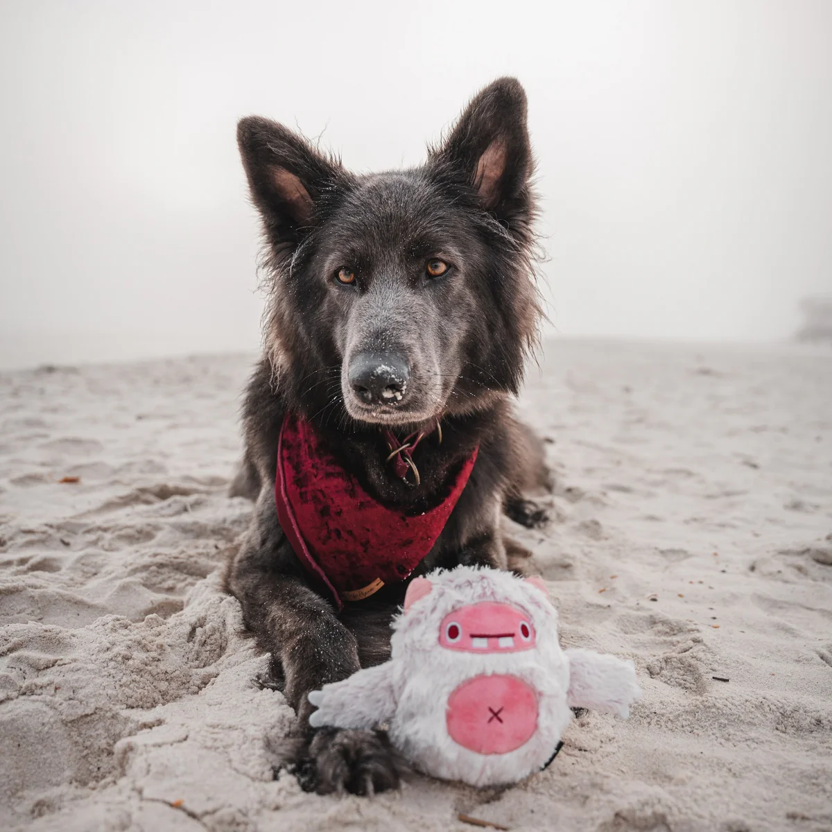 Snuglor Durable Super Chewer 2-in-1 Rip and Reveal + Enrichment Dog Toy - Image 5