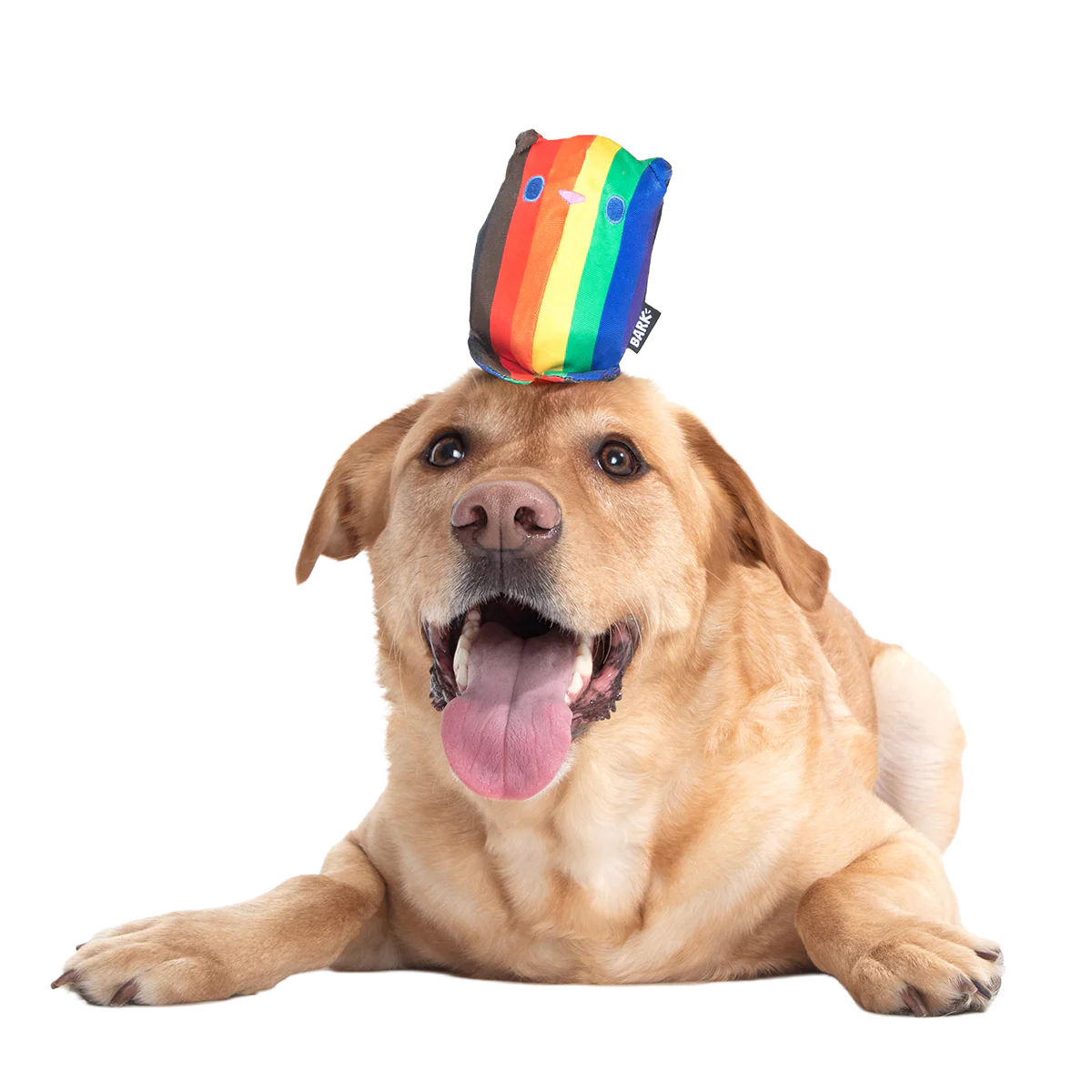 Some Bear Over The Rainbow Super Chewer Durable 2-in-1 Dog Toy - Image 3