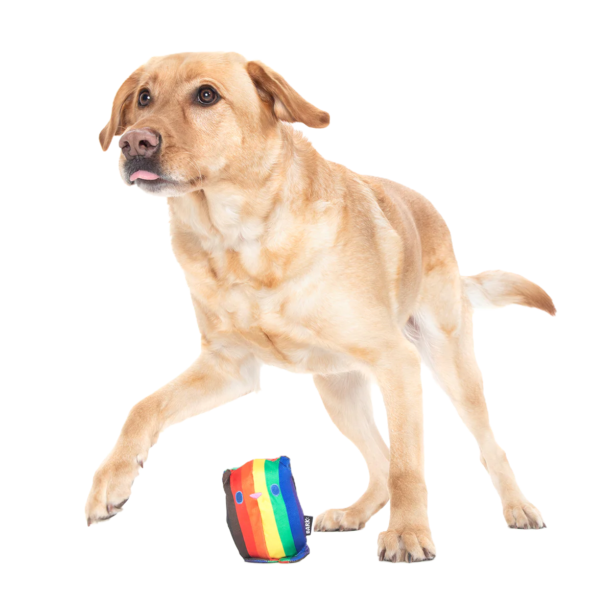 Some Bear Over The Rainbow Super Chewer Durable 2-in-1 Dog Toy - Image 4