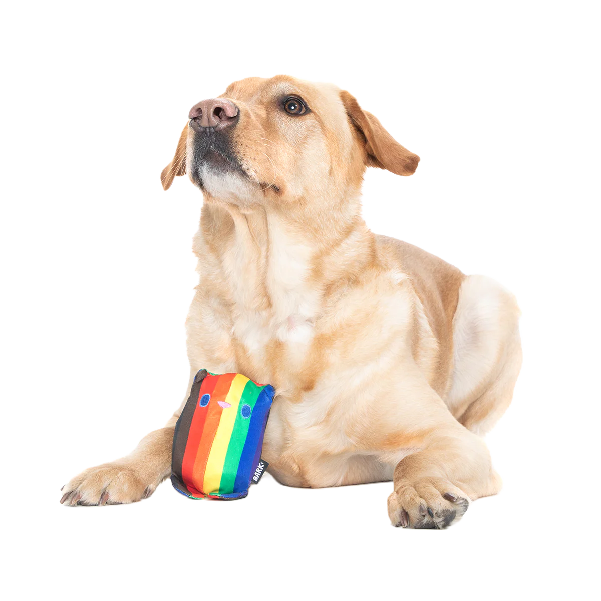 Some Bear Over The Rainbow Super Chewer Durable 2-in-1 Dog Toy - Image 5