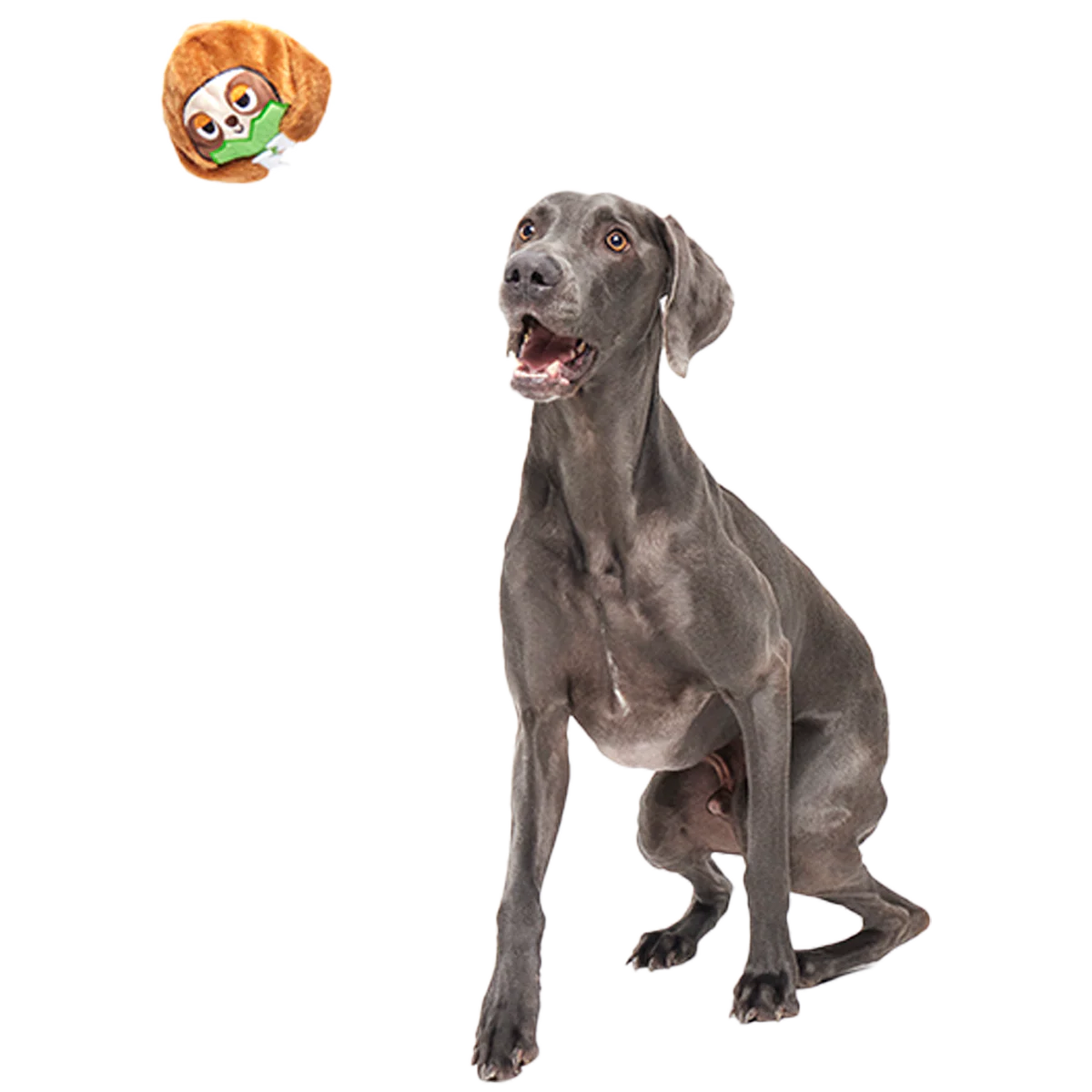 Sonny the Sloth Super Chewer Durable 2-in-1 + Fetch Dog Toy - Image 2