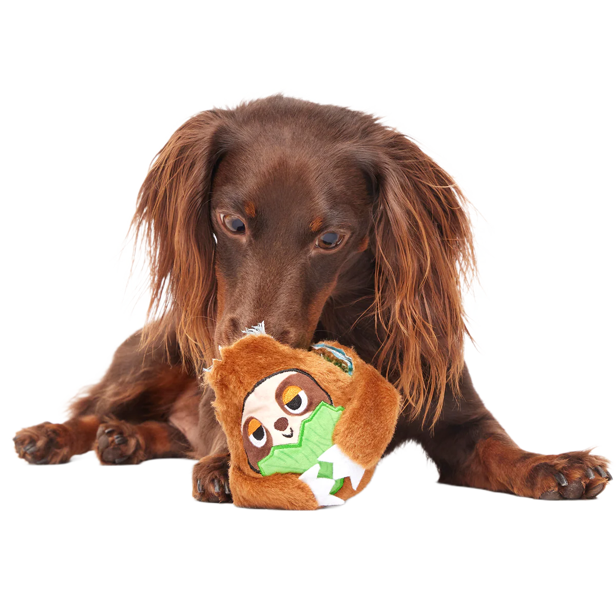 Sonny the Sloth Super Chewer Durable 2-in-1 + Fetch Dog Toy - Image 3