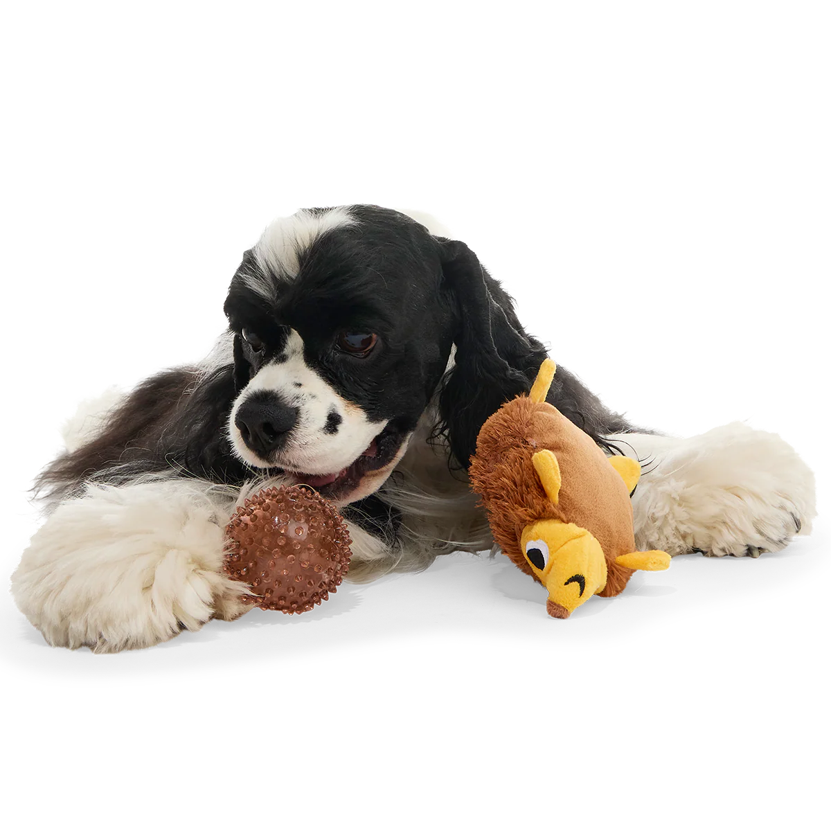 Spike the Ball Hog Plush Multi-Part + Fetch Dog Toy - Image 3