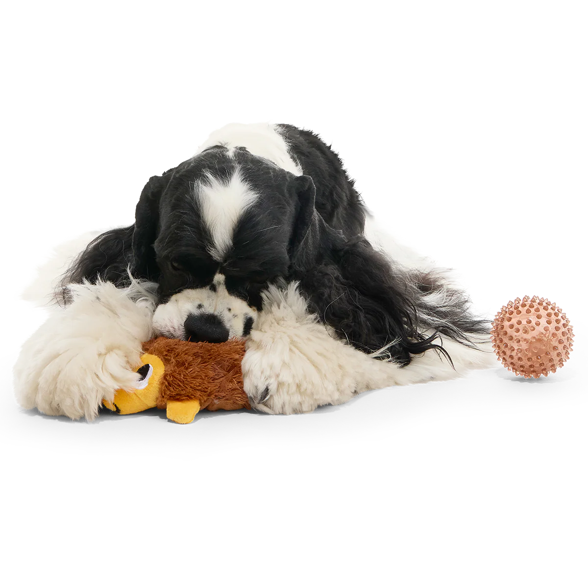 Spike the Ball Hog Plush Multi-Part + Fetch Dog Toy - Image 4