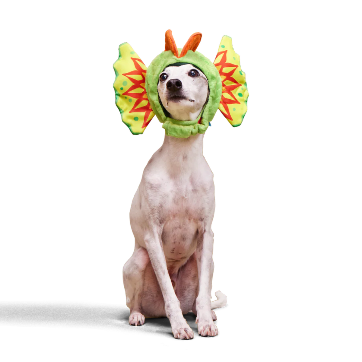 Spittin' Image Dino Collar Plush Wearable Dog Toy - Image 3